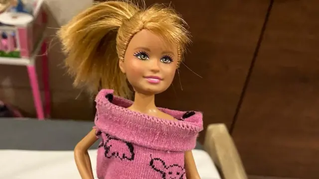 कोरोना वायरस, फैमिली