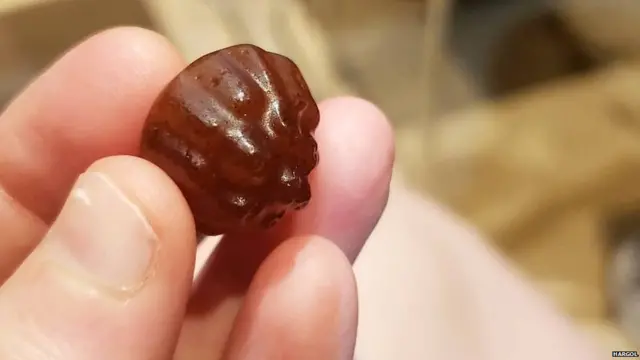 उत्तरी इसराइल, हरगोल