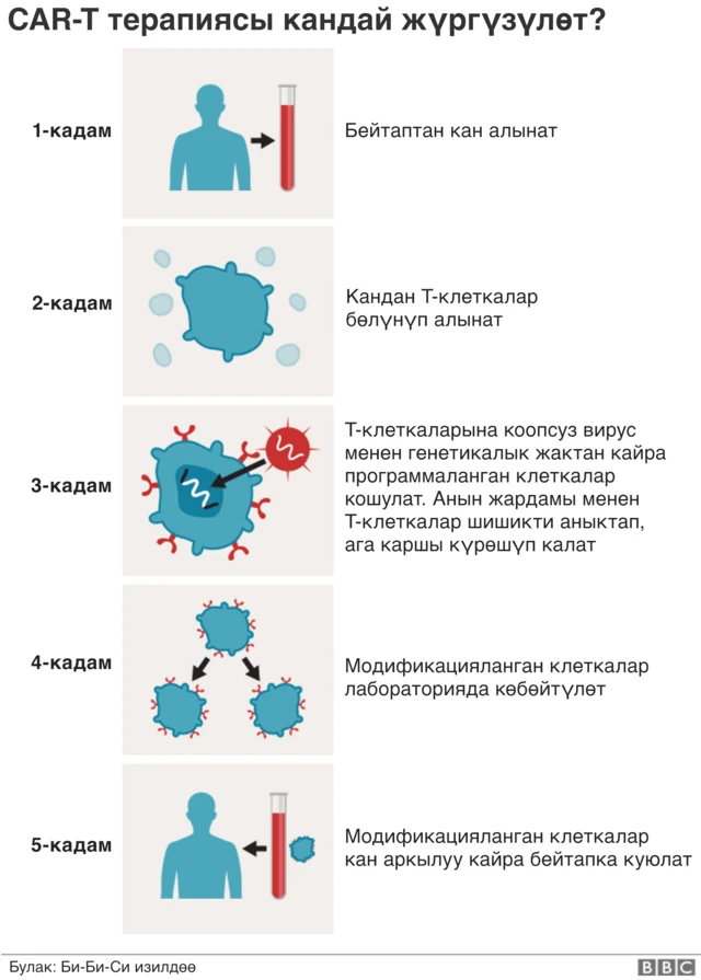 Сфке-1 терапия
