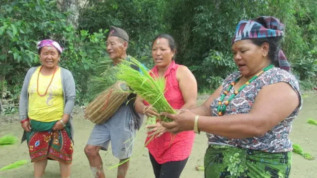 असारे भाका