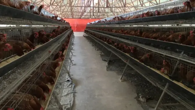 Beertan waxay ku taalllaa duleedka Muqdisho