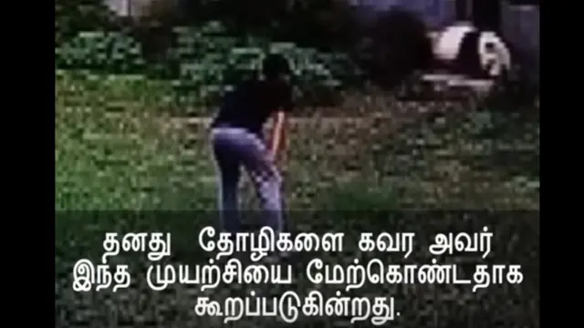 குங் ஃபூ பாண்டா