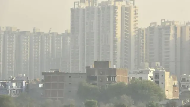 ઇમારત સીલ