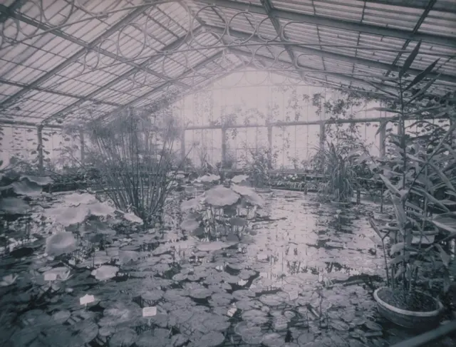 Imagen de archivo de la casa de los nenúfares