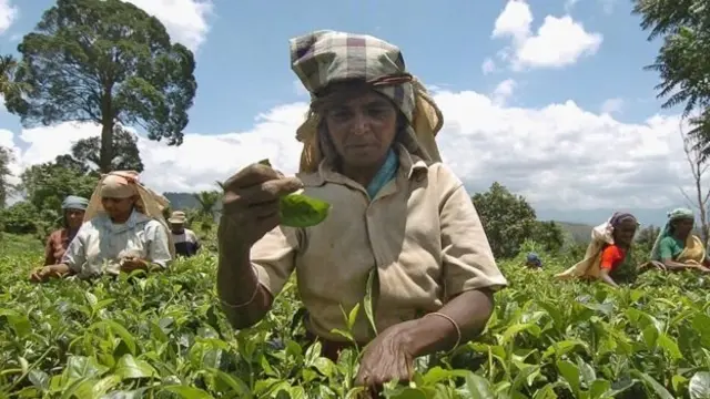 மலையக தமிழர்கள்