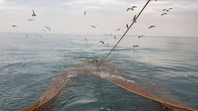 Chaluts dans la Manche, Angleterre.