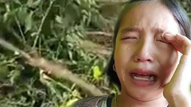 பசுமை தூதுவராக நியமிக்கப்பட்ட சிறுமி