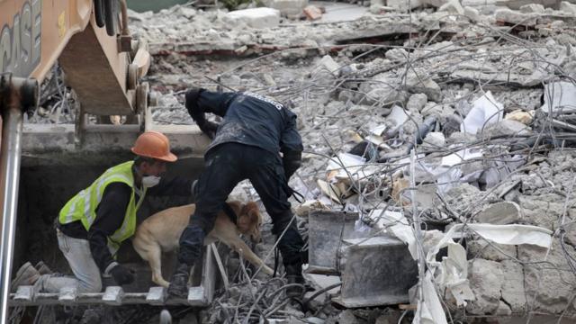 Búsqueda de sobrevivientes con perro rastreador entre los escombros de la Ciudad de México