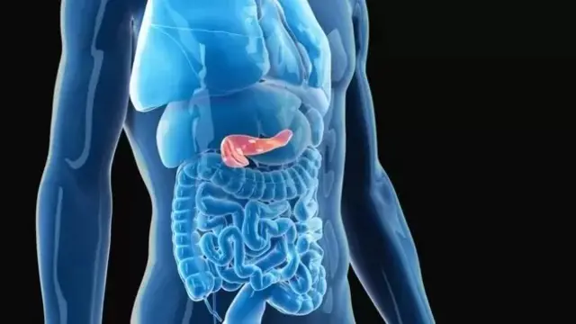 শরীরে কোন সমস্যা বোধ করলে চিকিৎসকের পরামর্শ নিতে হবে।