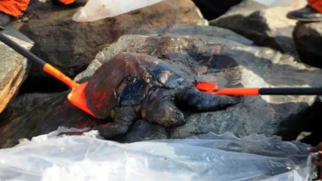 சென்னை எண்ணூர் துறைமுகத்தில் இரண்டு தனியார் சரக்கு கப்பல்கள் மோதிய சம்பவத்தில் கடலில் கசிந்த எண்ணெய் சென்னை எண்ணூர் துறைமுகத்தில் இரண்டு தனியார் சரக்கு கப்பல்கள் மோதிய சம்பவத்தில் கடலில் கசிந்த எண்ணெய்