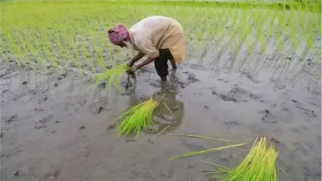 বাংলাদেশে মামলা মোকদ্দমার অন্যতম কারণ জমি নিয়ে বিরোধ