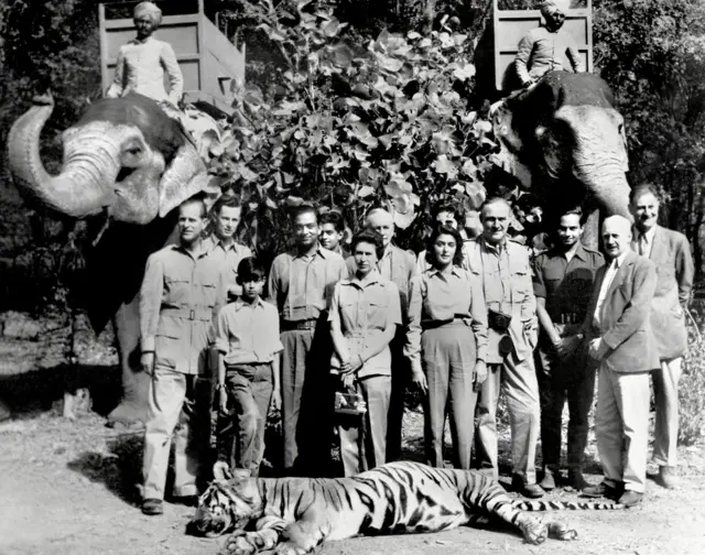 Fotos do casal realuma caça a um tigre na Índia1961, com a companhiacaça e um tigre morto na frente