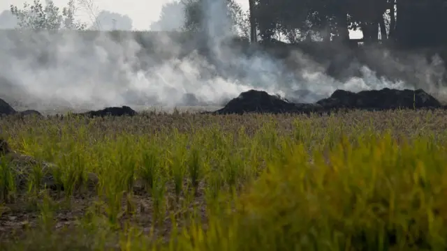 पुआल जलती हुई