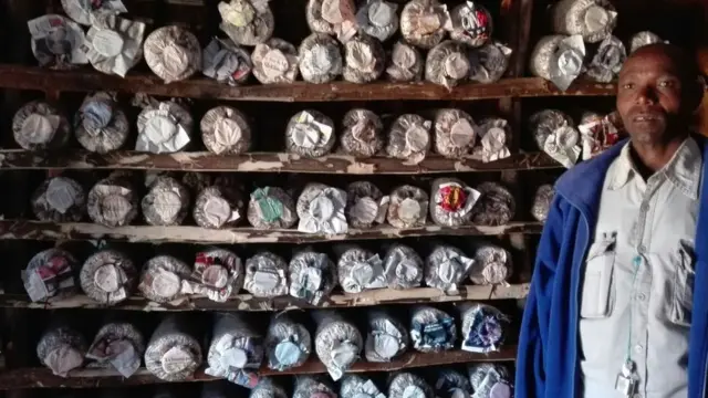 Vijishamba vya Uyoga