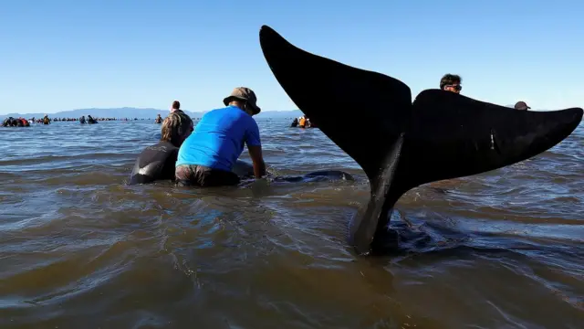 спасательная операция