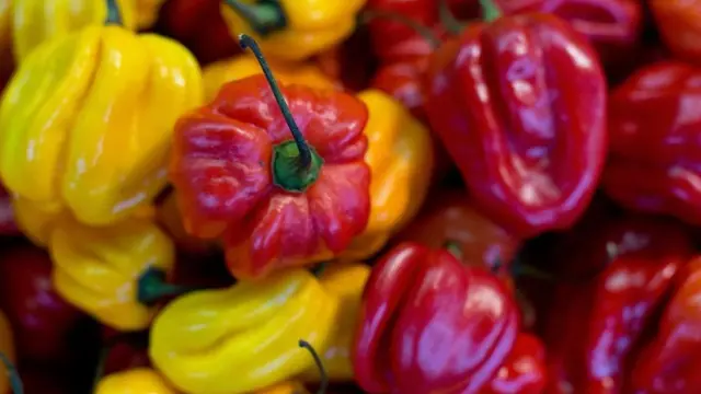 Chiles rojos y amarillos