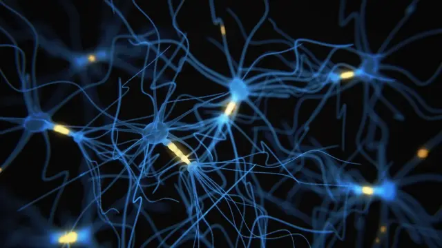 Conexiones neuronales