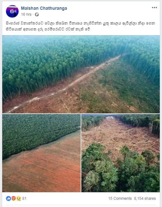 සමාජ ජාල