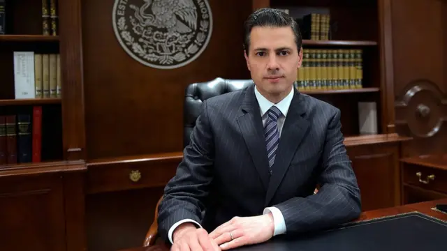 墨西哥总统涅托