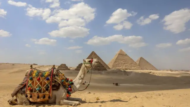 Rakumi durkushe kan kafafun sa, kan rairayin sahara a kusa da dalar pyramids a kasar Masar. Sararin samaniya ya gauraya da launin fari da bula mai daukar hankali.