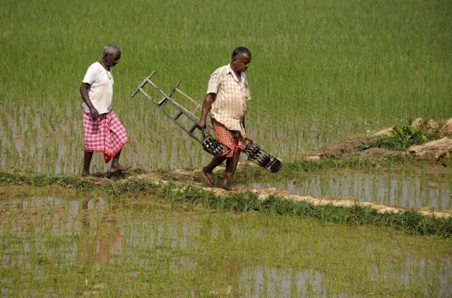 भारतीय किसान