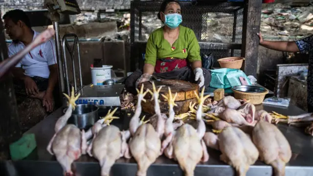 သားငါးတရိစ္ဆာန်တွေနဲ့ ထိတွေ့ရတဲ့အတွက် ဈေးတွေဟာ ရောဂါကူးစက်ဖို့ အခွင့်အလမ်းအများဆုံးပါ။