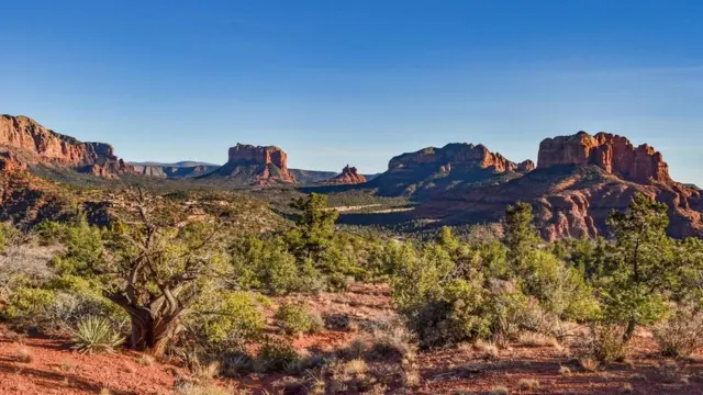Vista del Parque Nacional Coconino