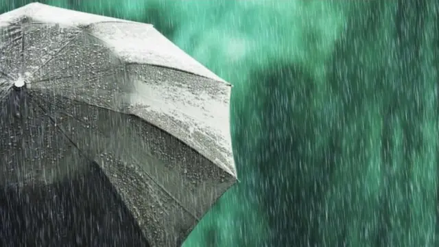 மழையில் நனையும் குடை