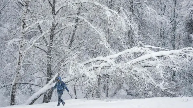 Otu nwanyị jịrị ụkwụ na-aga n'ime sunoo dara n'ala Kolomenskoye muziom - 4/2/2018