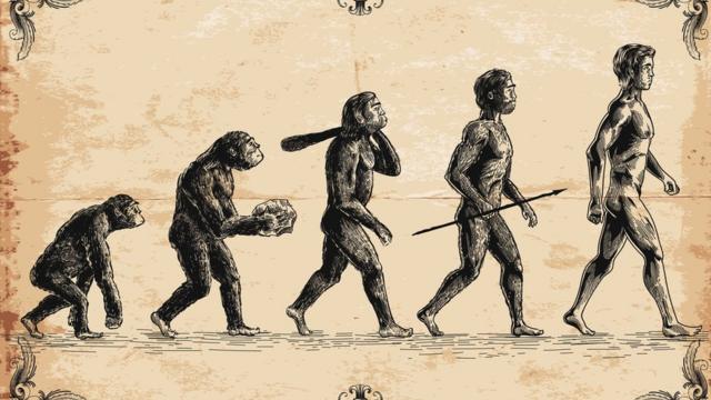 ilustração com homens e macacos