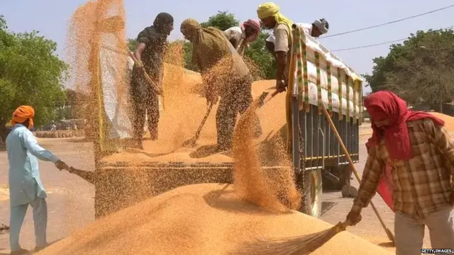 ਅਨਾਜ ਮੰਡੀ