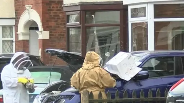 Arılar dumanla uzaklaştırılmaya çalışılıyor