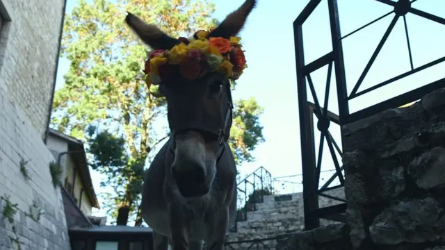 "Осел" - отправная точка нового этапа работы Анатолия Васильева в кино