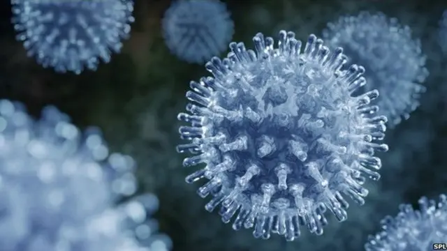 ਸਵਾਈਨ ਫਲੂ