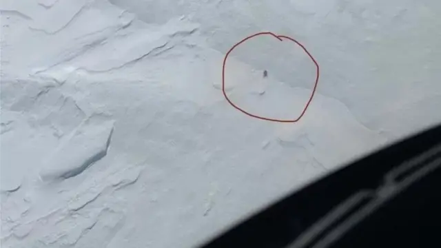 बलजीत कौर