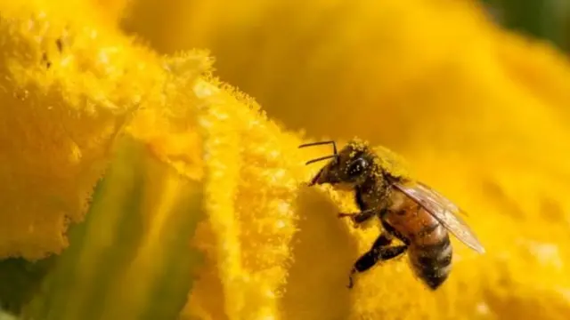 உலகம் அழிவை நோக்கி செல்கிறதா?