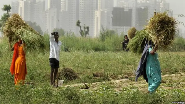 ਫ਼ਸਲ ਦੀ ਸਿੱਧੀ ਅਦਾਇਗੀ