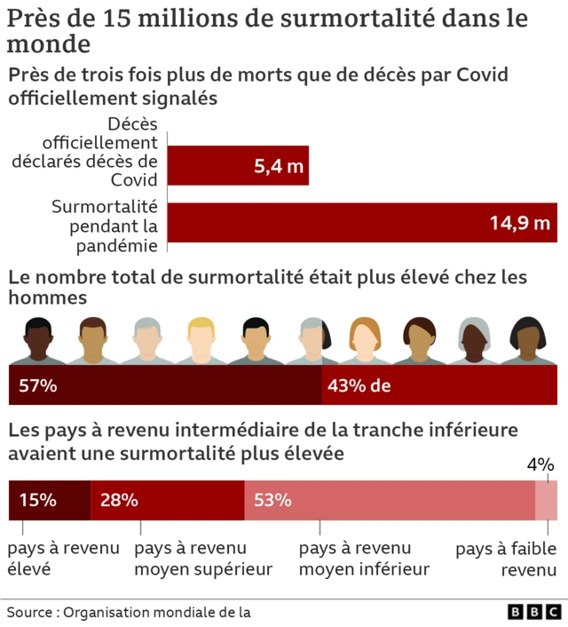 Graphiques décès Covid