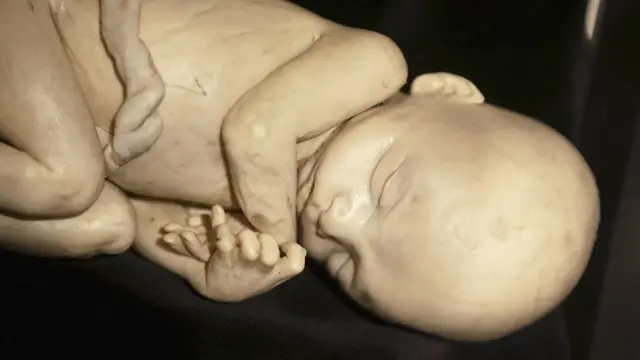 கோப்புப்படம்