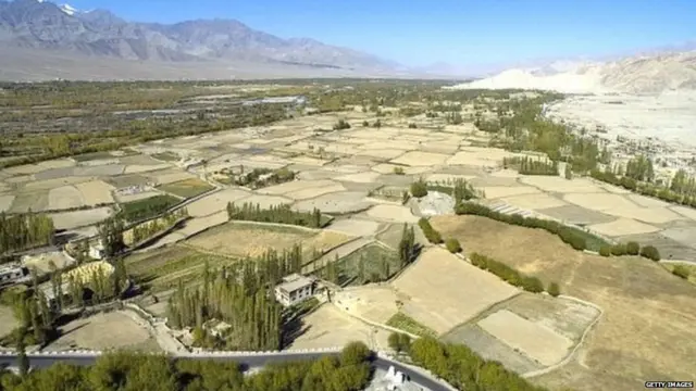 ਸਿੰਧੂ ਨਦੀ ਘਾਟੀ ਦੀ ਖੇਤੀ ਬਹੁਤ ਉਪਜਾਊ ਮੰਨੀ ਜਾਂਦੀ ਹੈ