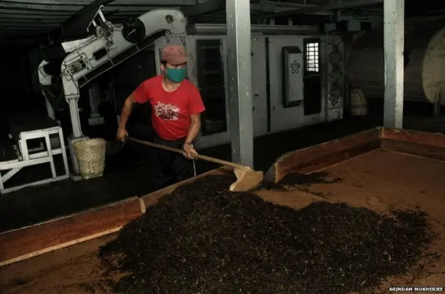 డార్జీలింగ్ తేయాకు తోటలు