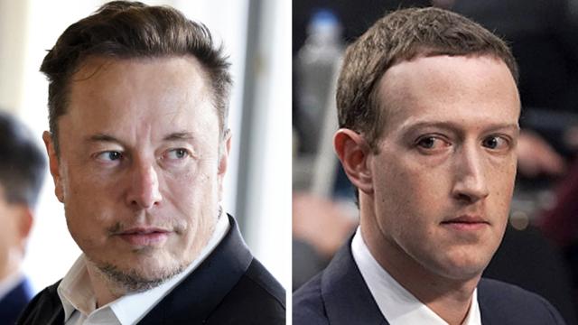 Mark Zuckerberg  Elon Musk : Mark Zuckerberg, ripped & toned, trains  furiously for speculated cage fight with Elon Musk