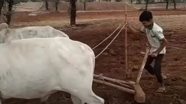 સૌરાષ્ટ્રના અનેક વિસ્તારોમાં પાછલા કેટલાક દિવસોથી ભારે વરસાદ વરસી રહ્યો છે