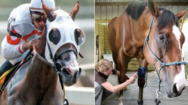 எட்டு பந்தயங்களில் வென்ற மெட்ரோவுக்கு கால் முட்டியில் ஏற்பட்ட காயங்கள்