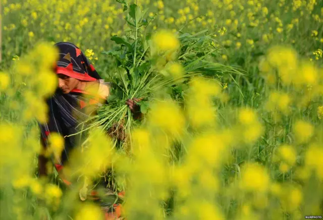 भारतीय किसान