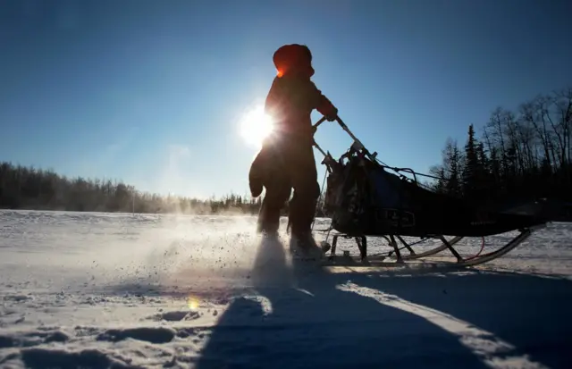 टुंड्रा, कनाडा, फ़ाइल फ़ोटो