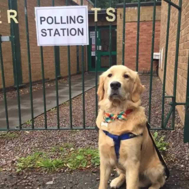 மிகவும் தீவிரமான முகபாவனையுடன் ஒரு வாக்குச்சாவடியின் முன்னர் தோன்றும் டிக்பீ