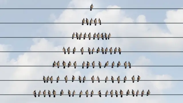 Una pirámide de pájaros.