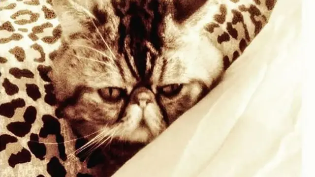 Foto de Y. V. Santamaría