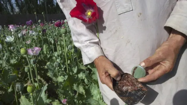 கிராமங்களிலும் கொடி கட்டி பறக்கும் போதைபொருள் விற்பனை